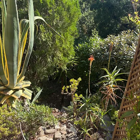 La Romaine Climatise Terrasse Vue 200m